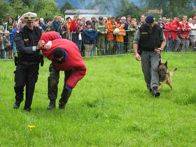 bild (34)